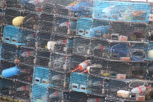Piles of lobster traps.