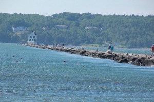 Do you see the lighthouse way out there?