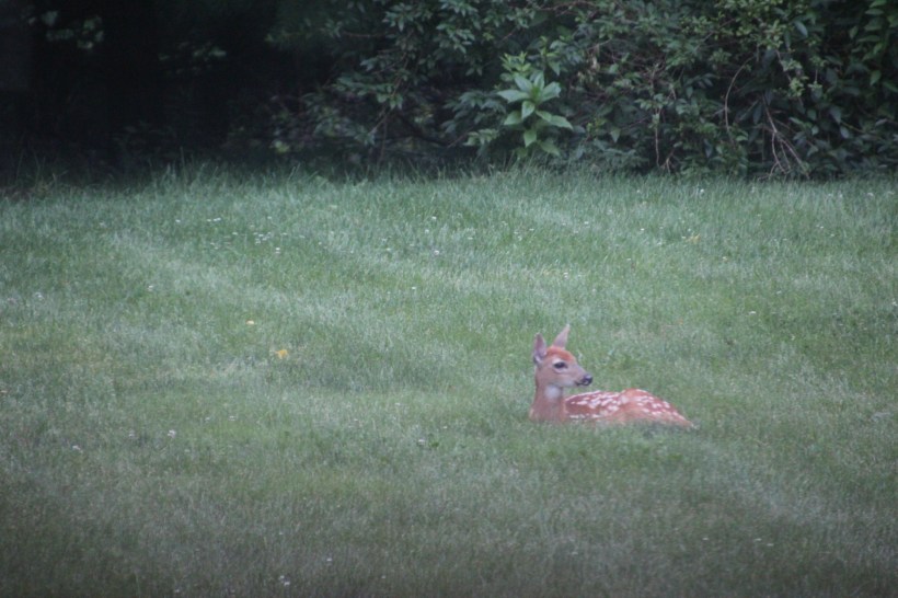 Imported Photos 01451