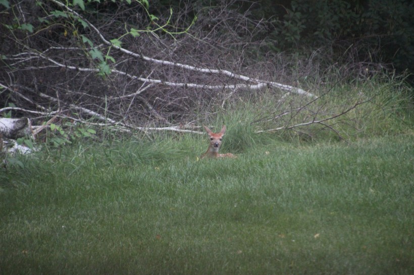 Imported Photos 01453