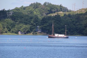 Wonder if all those traps have lobster in them?