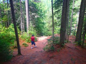 Walking in the woods.
