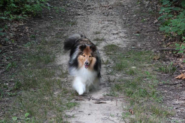 Imported Photos 00311