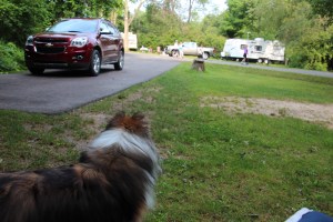 Watching the kids go by.