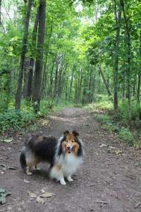 We went on lots of trails.