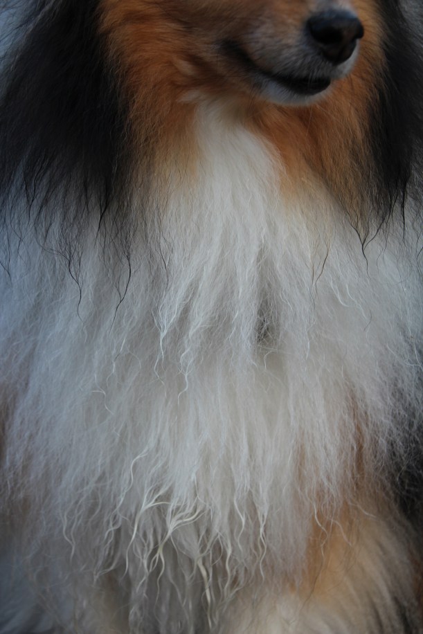 Imported Photos 01026