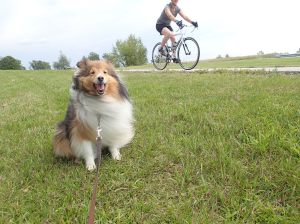 Not worried about that bike in back of me.