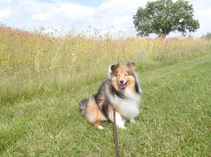 Another of my favorite parks!