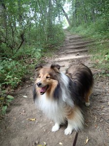 You sure you want to go way up there Mama?