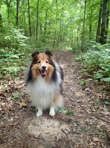 Isn't this a cool place?