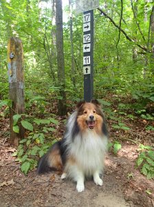 Which way should we go?