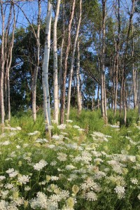 Makes you smile, doesn't it!