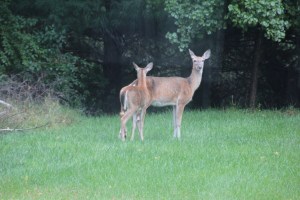 Imported Photos 01592