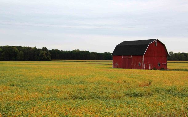 Soybean barn