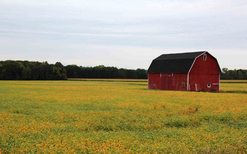 Soybean barn