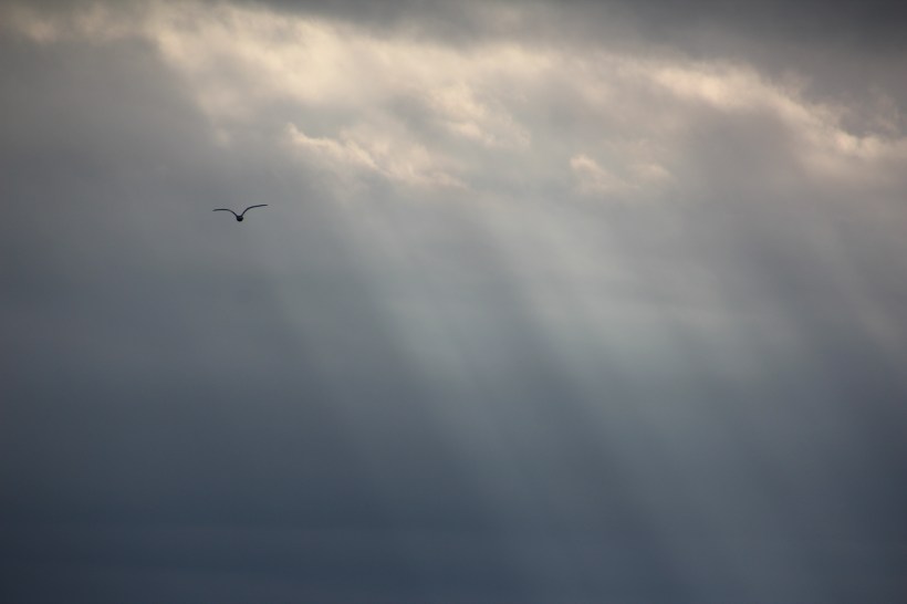 Flying through refracted light.
