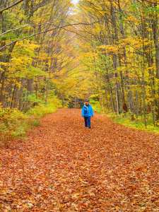 Just a walk in the park.