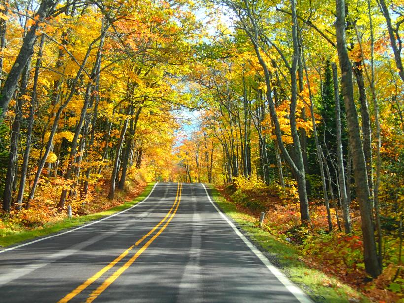 Today's adventure begins.