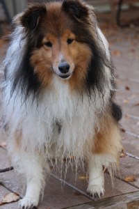 Imported Photos 01220