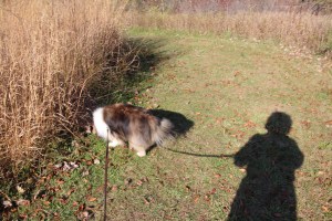 Enjoying a warm October afternoon.