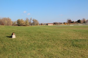 This big green area is fun to explore too!