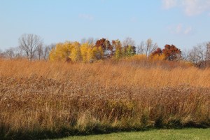 Fall just makes a person smile.