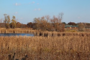 See the library way over there?