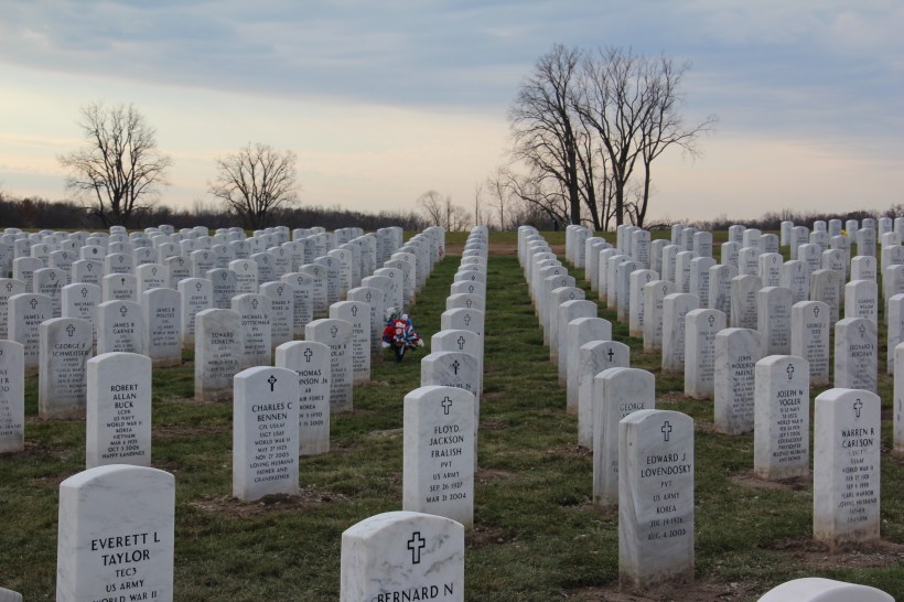 Flowers amid the stones.