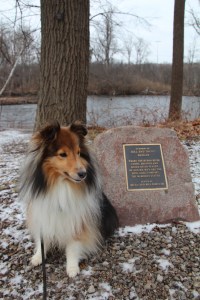Grandpa & Grandma's rock