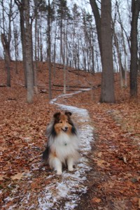 A little bit of snow.