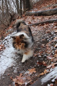 Running down a hill.