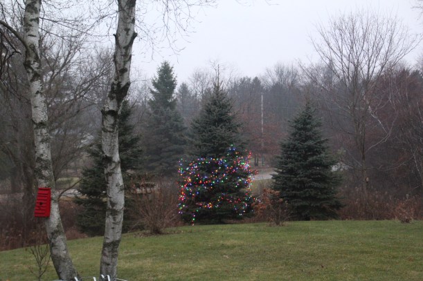 Warm Christmas wishes to you!