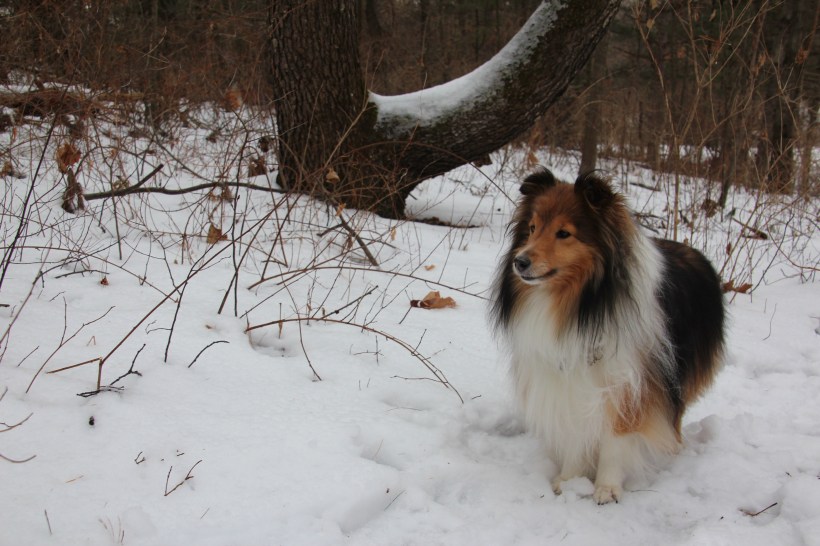 How long do I have to stand here Mama?