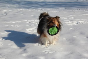 Throw it again mama!