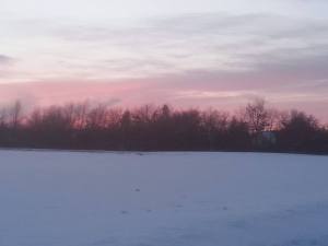 11009088_10205100625969024_489318963090749460_n