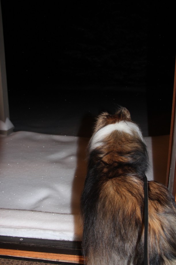 Never mind, didn't really need to go out anyway.