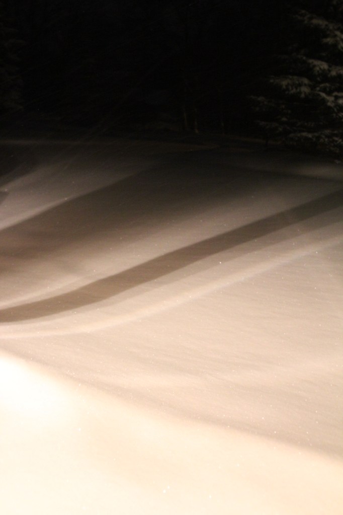 Driveway...early in the morning.