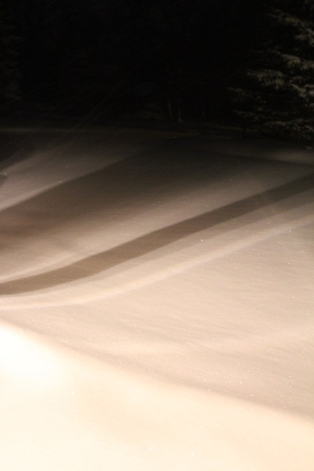 Driveway...early in the morning.