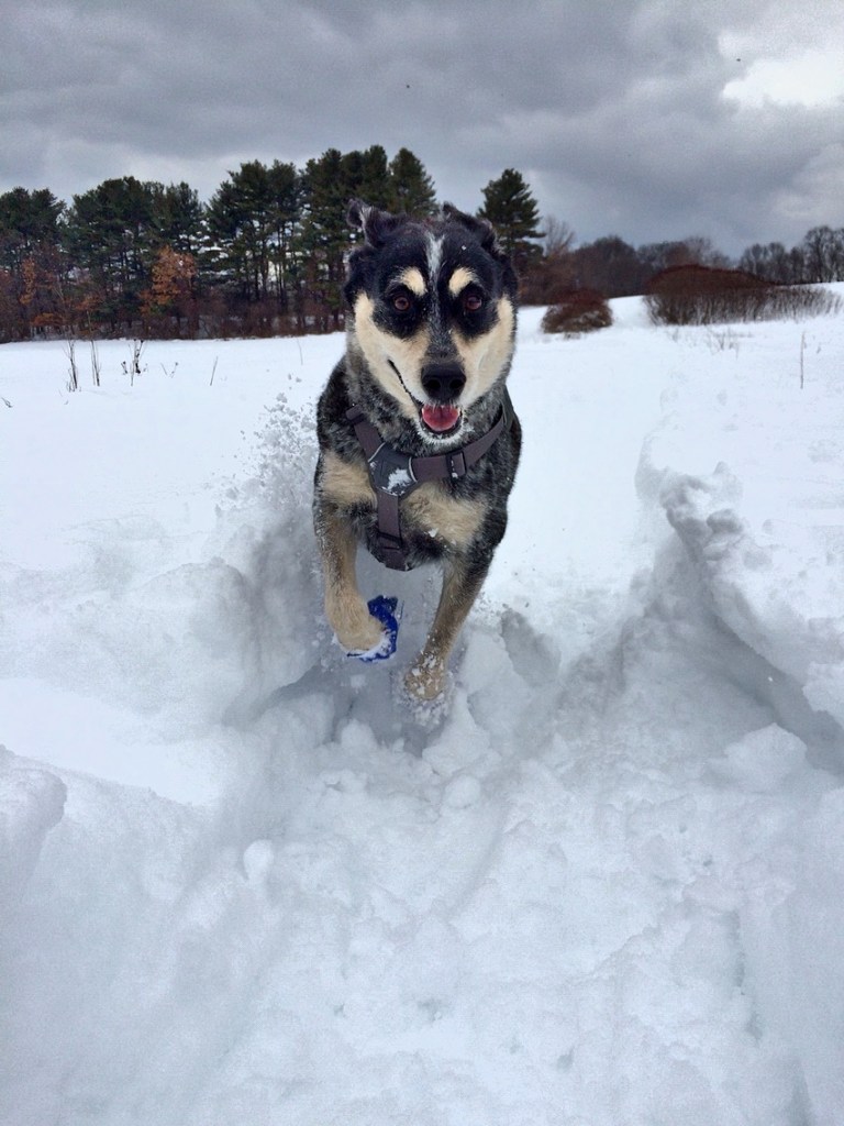 He loved to run with his mom Debi.