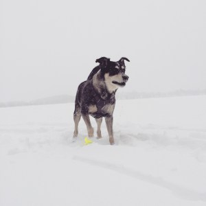 Portrait of the Dude.