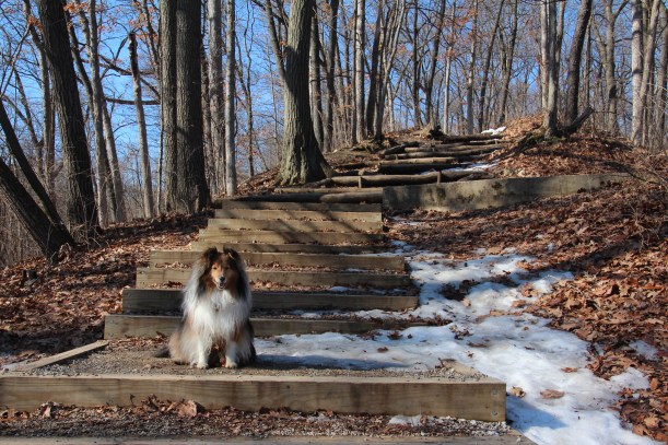 Really big stairs, no problem!