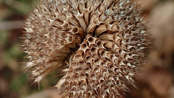 Remnants of last year