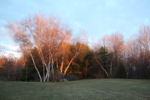 Weekend possibilities are endless.