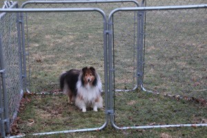 Hey mama!  Can I stay outside?