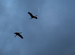 Imported Photos 00457_edited-1