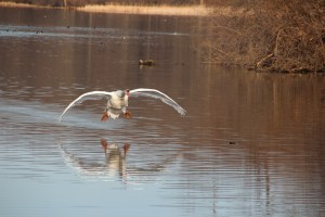 Imported Photos 00471