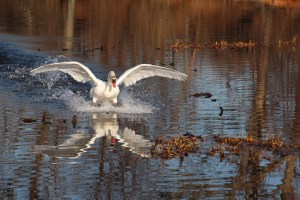 Imported Photos 00474