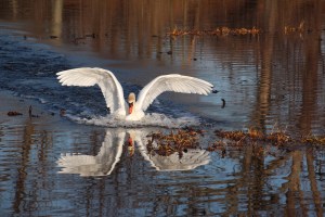 Imported Photos 00475