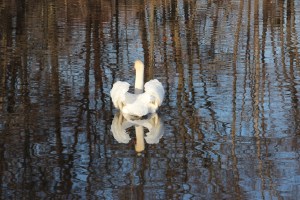 Imported Photos 00511