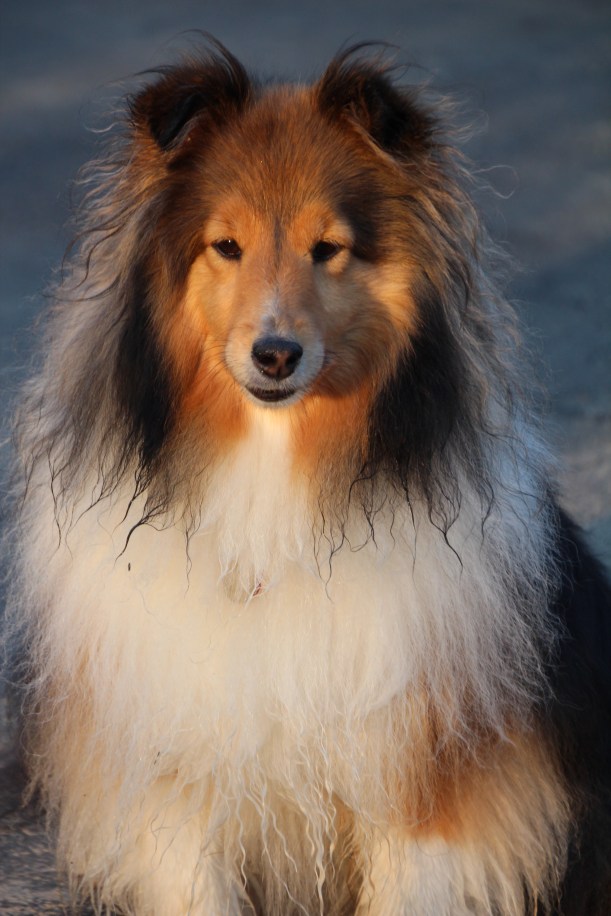 I love mornings mama!